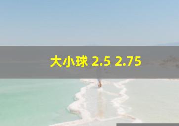 大小球 2.5 2.75